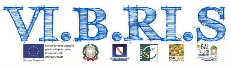 VI.B.RI.S.